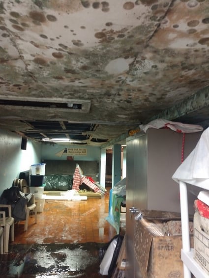 Mold Ceiling