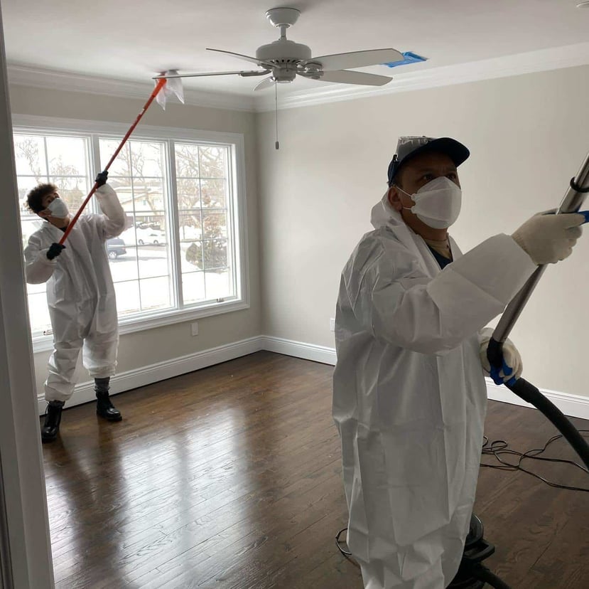 Mold Cleaning (1)