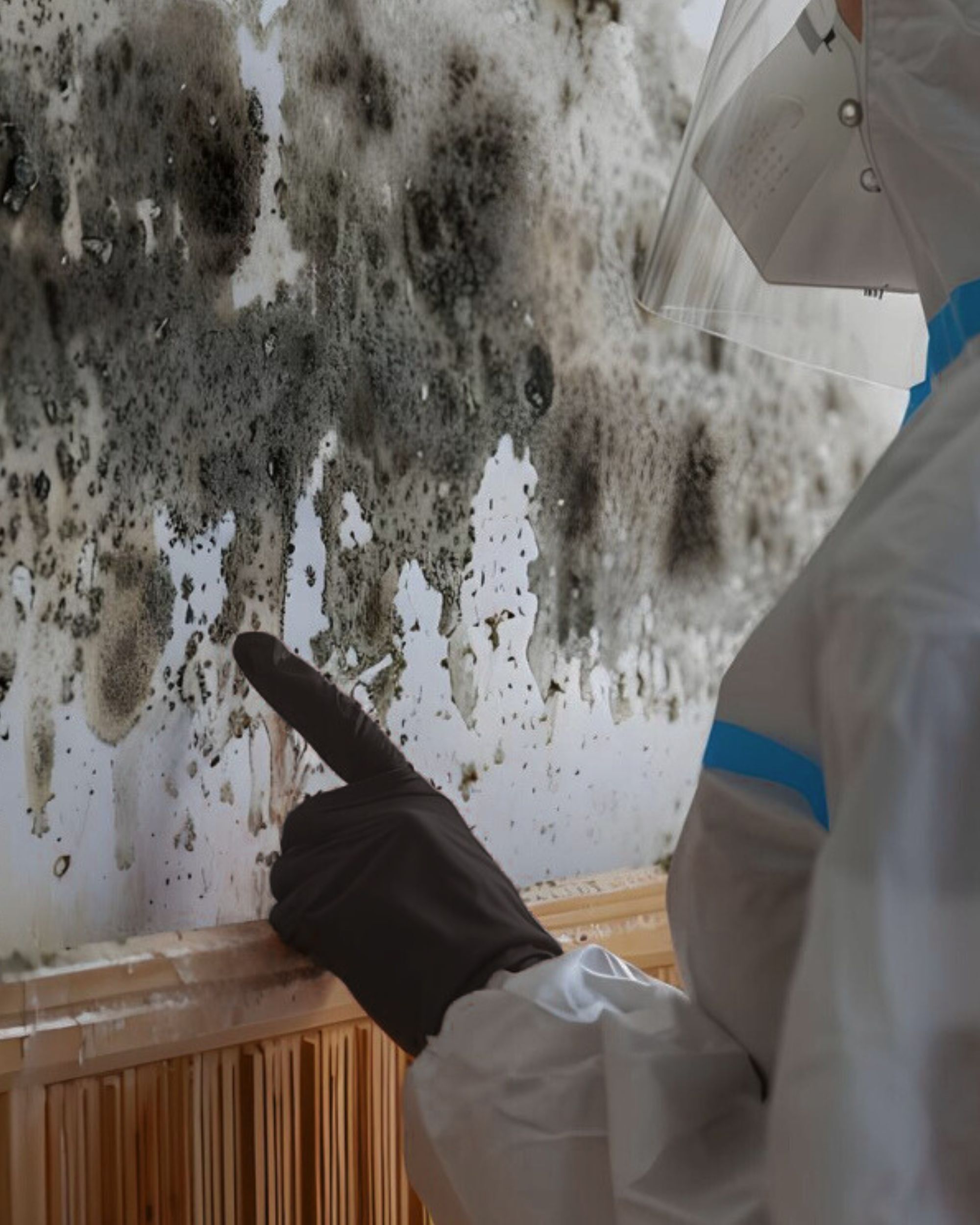 Mold After Water Damage: How Moisture Affects Your Home